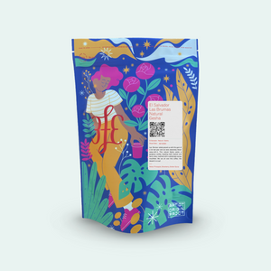 El Salvador - Las Brumas: Natural, Gesha